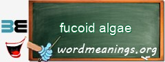 WordMeaning blackboard for fucoid algae